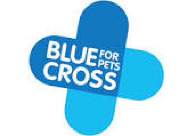 Blue Cross