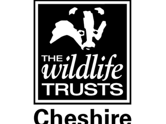 cheshire wildlife trust
