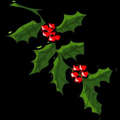 holly