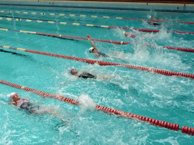 swimming gala